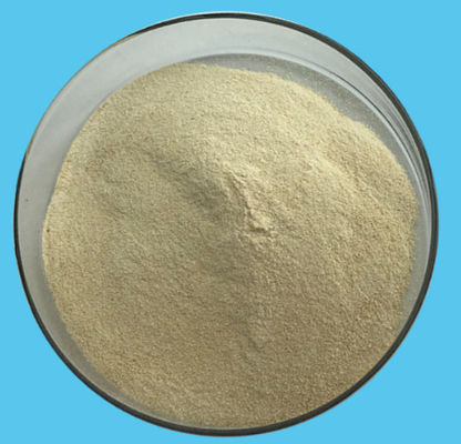 CAS 9000-70-8 Stabilizing Agent PH6.5 Halal Gelatin Powder