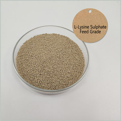 Feed Grade 0.61g/Cm3 L Lysine Sulphate , CAS 657-27-2 Pure Amino Acids