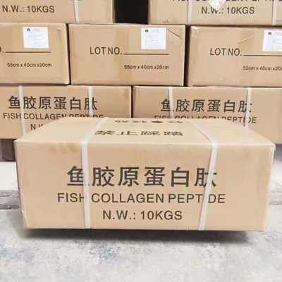 Fish Collagen Peptide CAS 9064-67-9 Water Soluble 100% Pure Food Grade