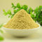 CAS 79-81-2 Vitamin A Palmitate Powder , ISO Retinyl Palmitate